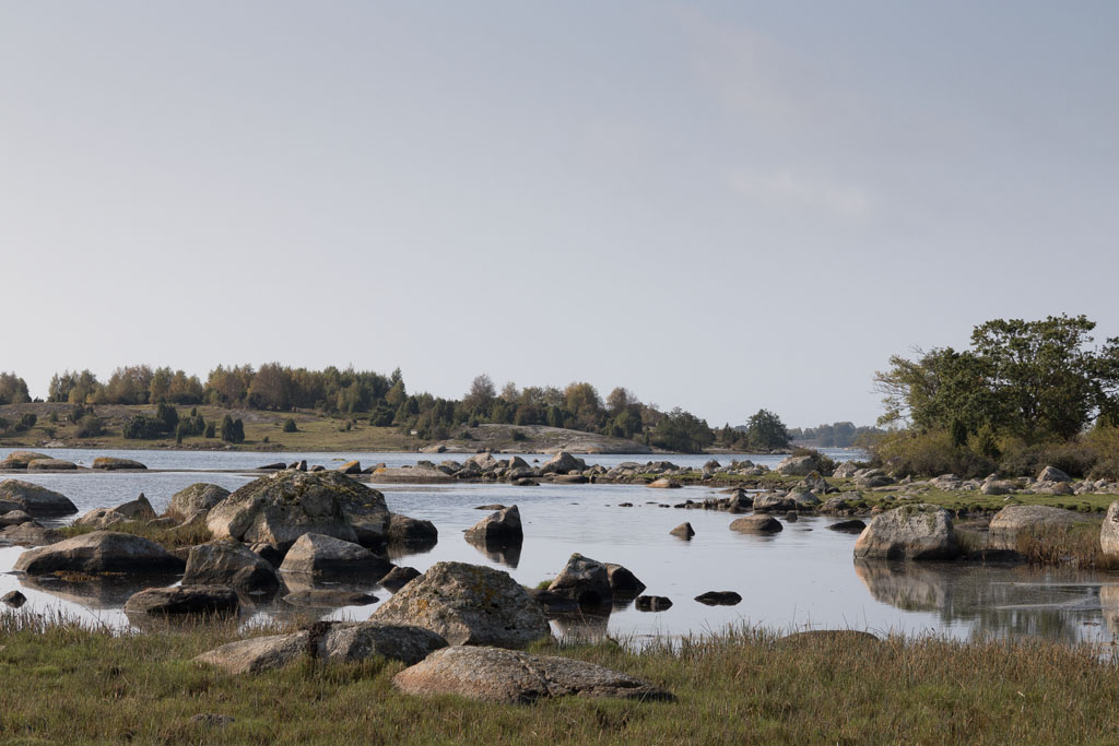 Im Naturschutzgebiet