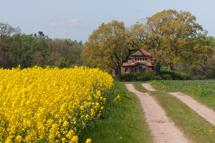 Ein Frühjahr an der Schlei