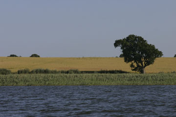 Schlei, Segeln, Landschaft, blauer Himmel, Sommer, Schleilandschaft, Landschaftsaufnahme, Schleiregion, Urlaub, Ferien
