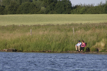 Schlei, Segeln, Landschaft, blauer Himmel, Sommer, Schleilandschaft, Landschaftsaufnahme, Schleiregion, Urlaub, Ferien