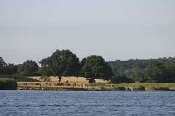 Schlei, Segeln, Landschaft, blauer Himmel, Sommer, Schleilandschaft, Landschaftsaufnahme, Schleiregion, Urlaub, Ferien