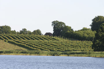 Schlei, Segeln, Landschaft, blauer Himmel, Sommer, Schleilandschaft, Landschaftsaufnahme, Schleiregion, Urlaub, Ferien