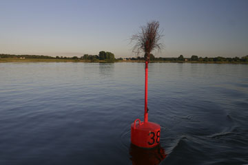 Schlei, Segeln, Landschaft, blauer Himmel, Sommer, Schleilandschaft, Landschaftsaufnahme, Schleiregion, Urlaub, Ferien