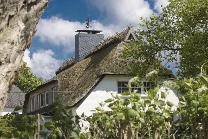 Die Landschaft in der Schleiregion ist im Frühling immer noch geprägt von Raps, Rapsblüten und traumhaften Blicken auf die Schlei.