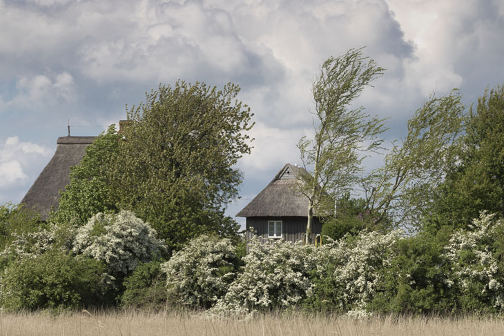 Die Landschaft in der Schleiregion ist im Frühling immer noch geprägt von Raps, Rapsblüten und traumhaften Blicken auf die Schlei.