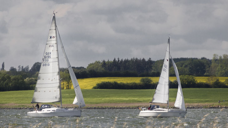Die Landschaft in der Schleiregion ist im Frühling immer noch geprägt von Raps, Rapsblüten und traumhaften Blicken auf die Schlei.