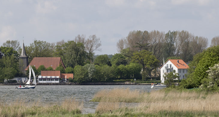 Die Landschaft in der Schleiregion ist im Frühling immer noch geprägt von Raps, Rapsblüten und traumhaften Blicken auf die Schlei.