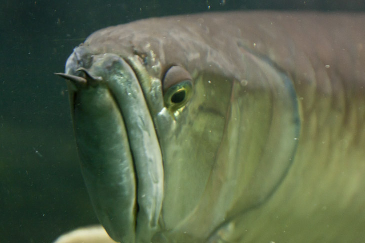 Im Allwetterzoo Münster