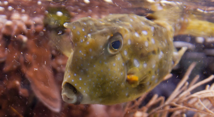 Im Allwetterzoo Münster