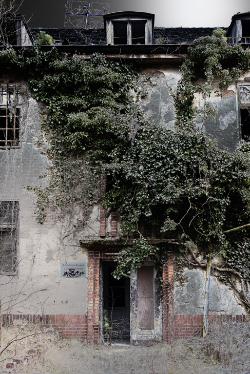 In der Heeresmunitionsanstalt, rankende Pflanzen an der Fassade