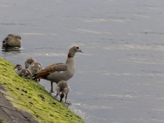 Maritimes &raquo; Am Nord-Ostsee-Kanal