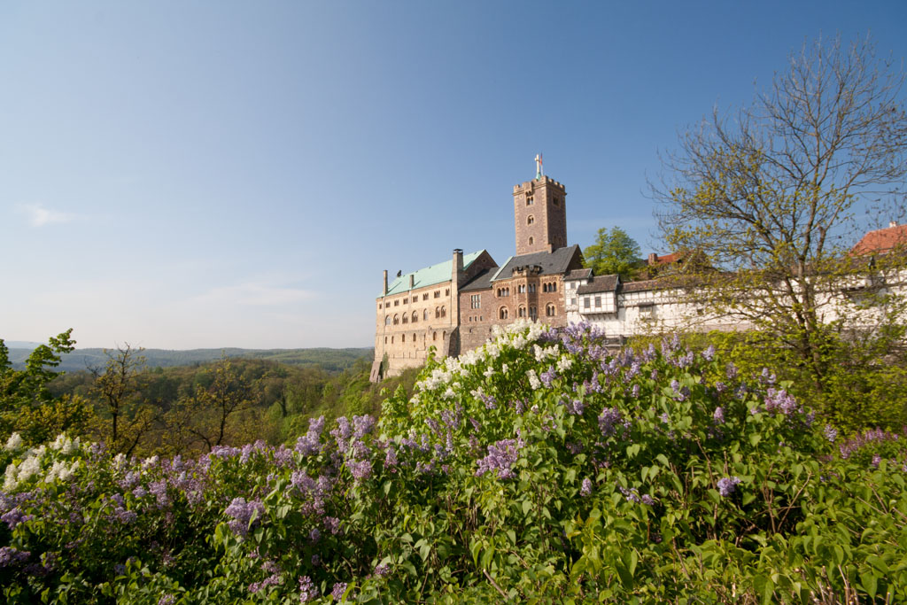 Die Wartburg