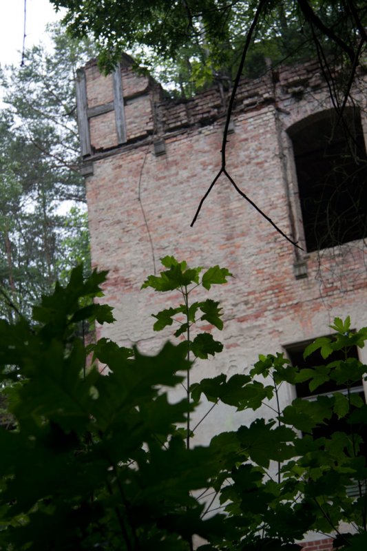 Beelitz Heilstätten. 30.06.2012