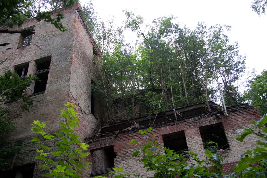 Beelitz Heilstätten. 30.06.2012