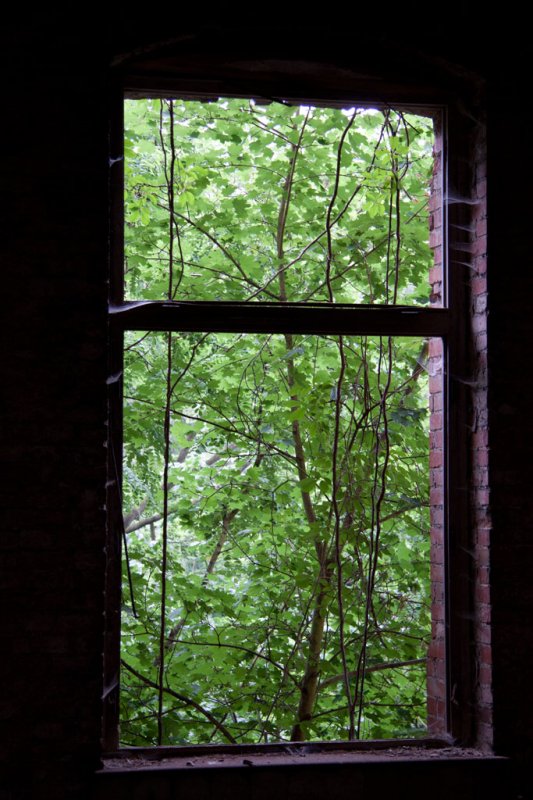 Beelitz Heilstätten. 30.06.2012