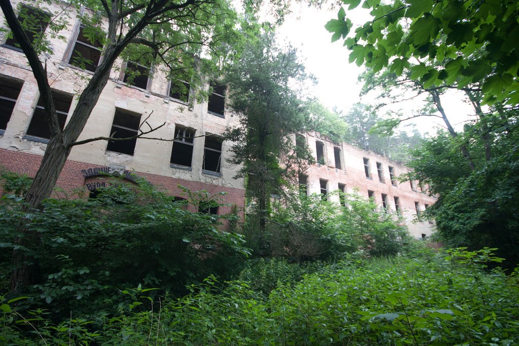 Beelitz Heilstätten. 30.06.2012