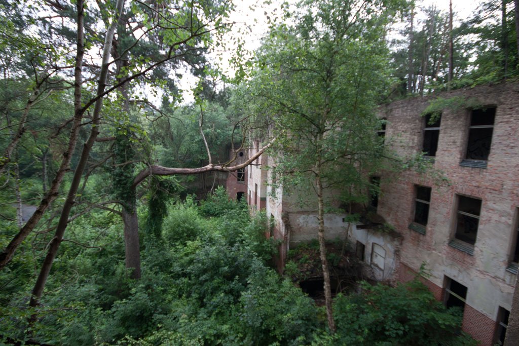 Beelitz Heilstätten. 30.06.2012