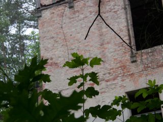 Urbex &raquo; Beelitz Heilstätten, 30.06.2012