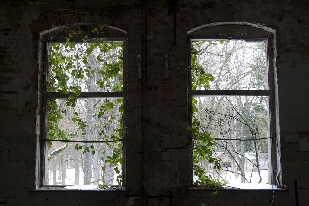 Beelitz Heilstätten. 30.03.2013