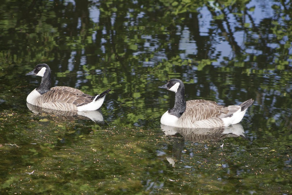 Ein Tag in Bückeburg