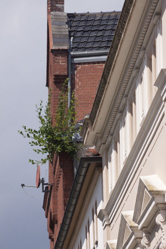 Ein Tag in Bückeburg