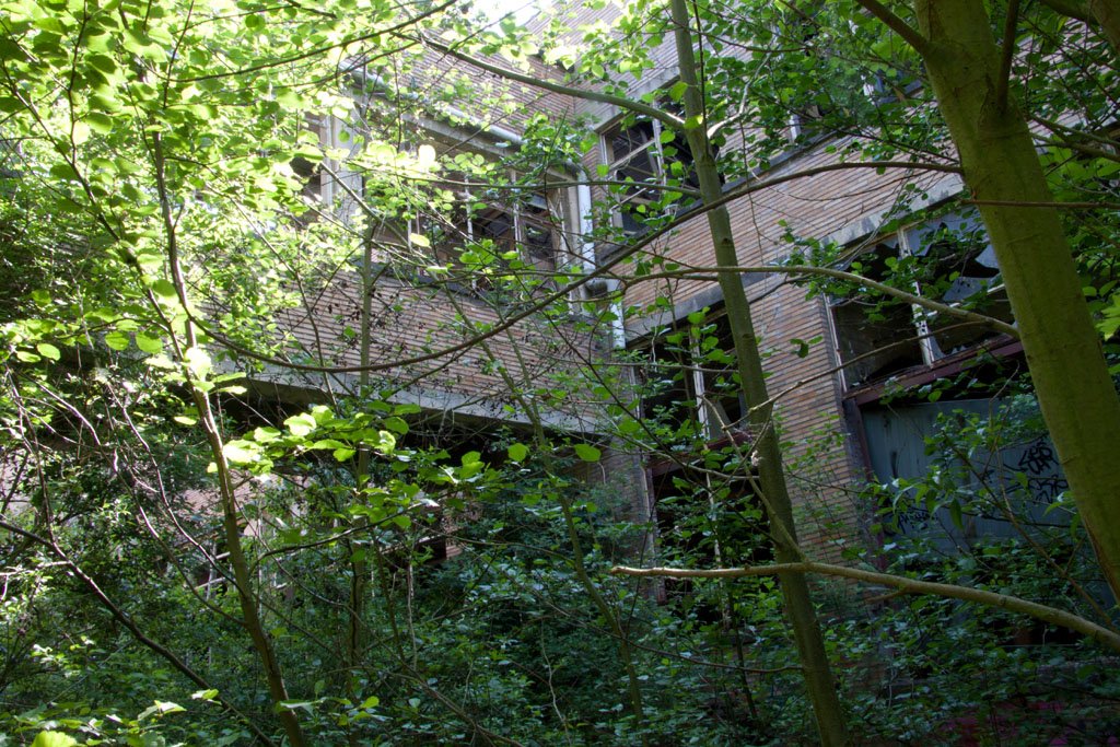 Chemiefabrik in Aalst