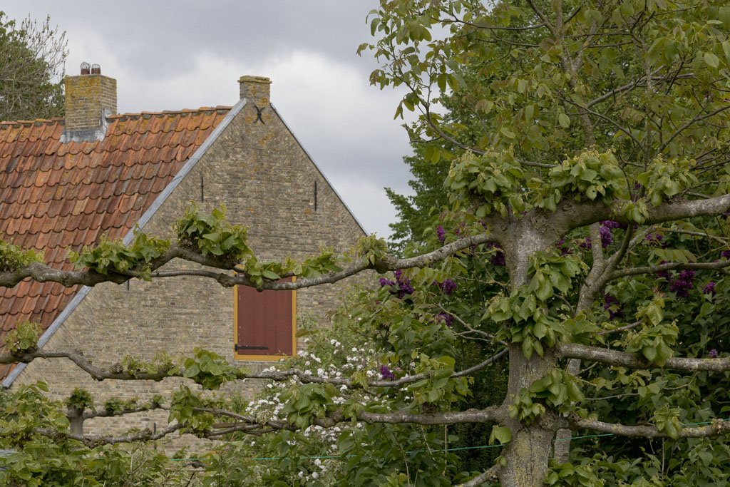 Festung Bourtange