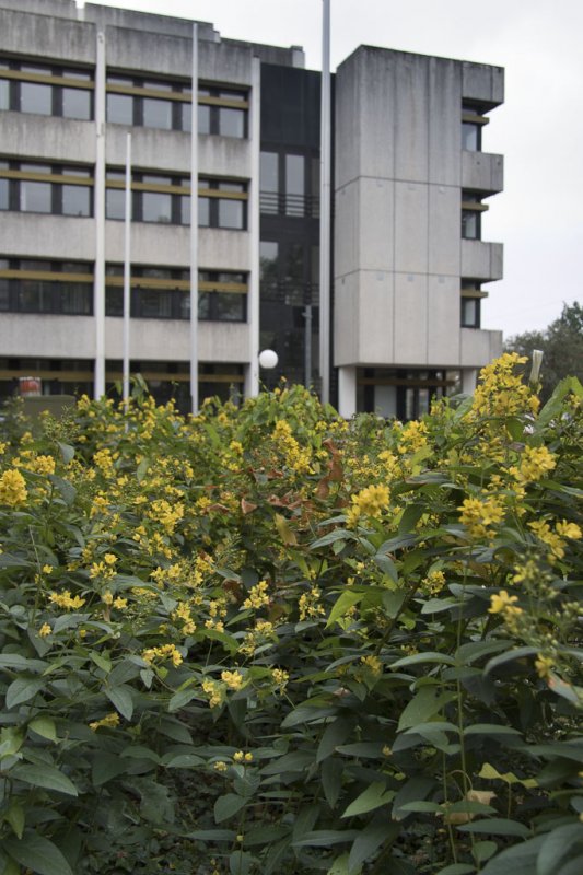 Finanzamt Oldenburg