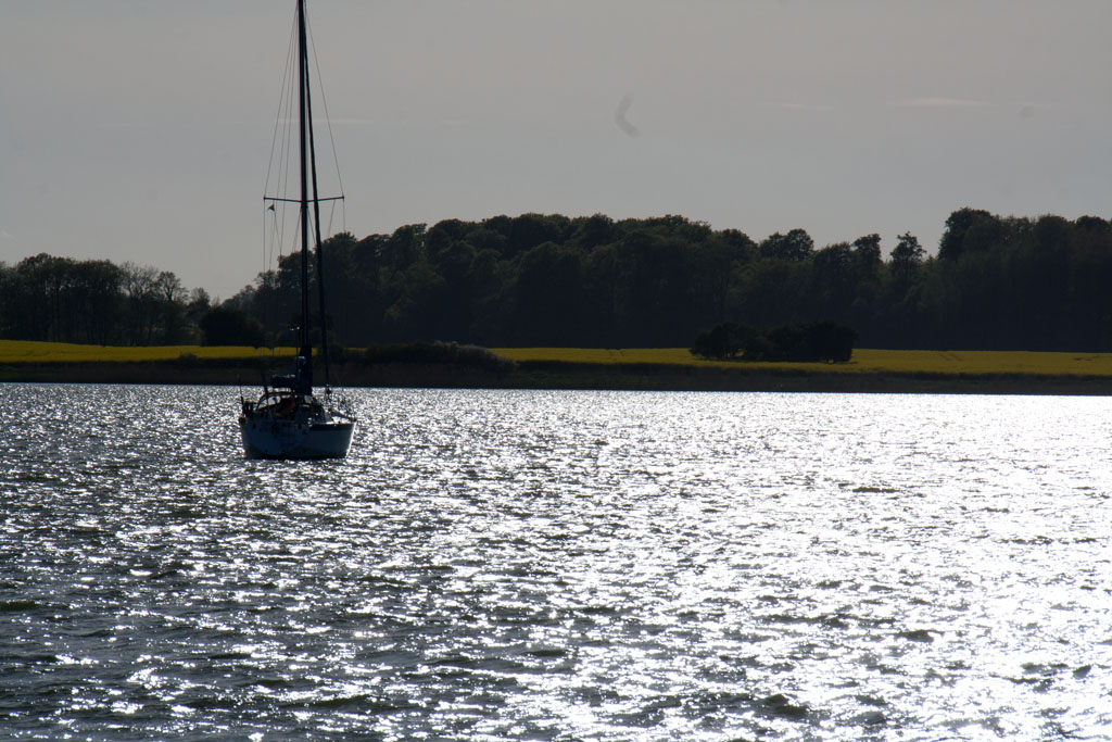 Im Frühjahr an der Schlei