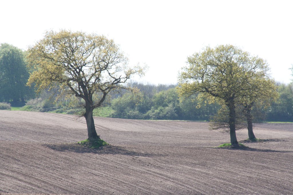 Ein Frühjahr an der Schlei