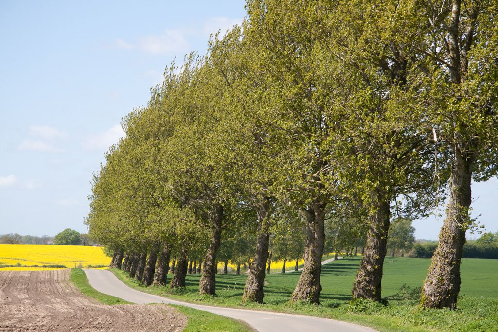Ein Frühjahr an der Schlei