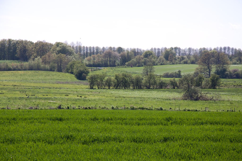 Ein Frühjahr an der Schlei