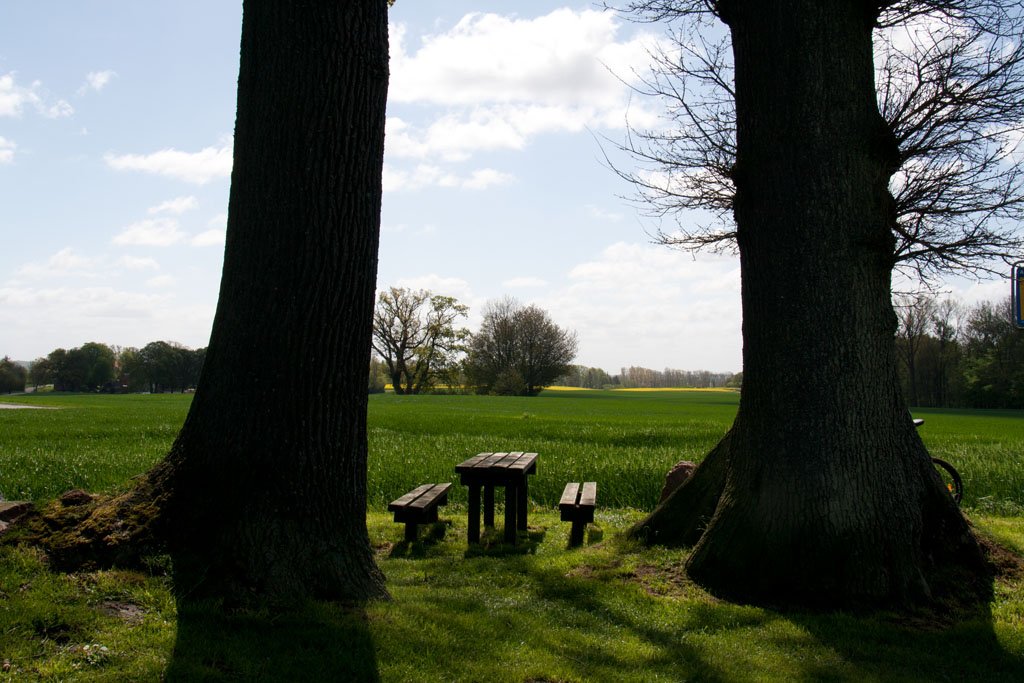 Ein Frühjahr an der Schlei