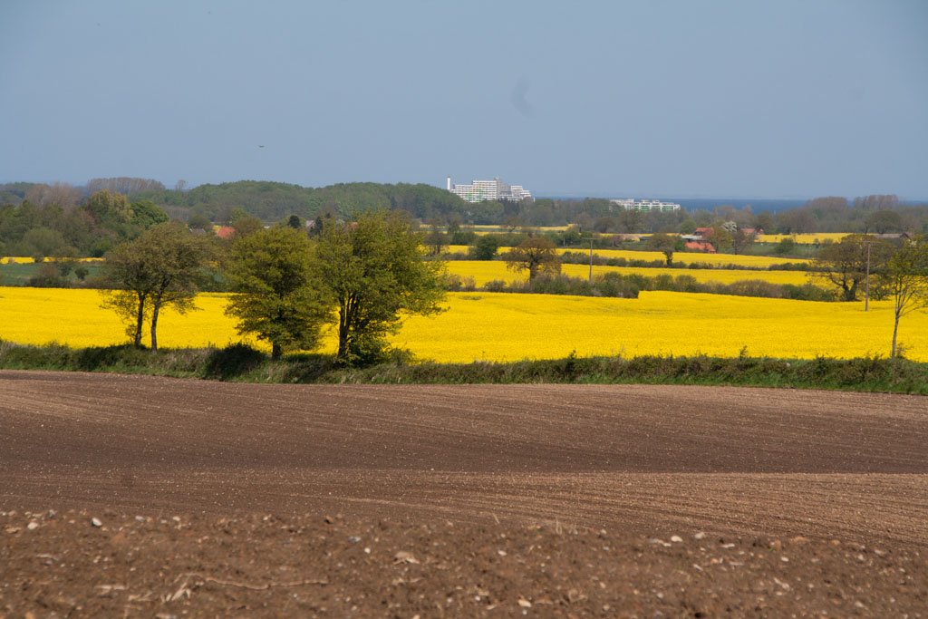 Ein Frühjahr an der Schlei
