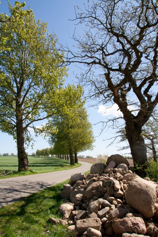 Ein Frühjahr an der Schlei