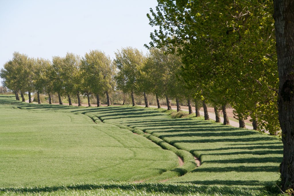 Ein Frühjahr an der Schlei