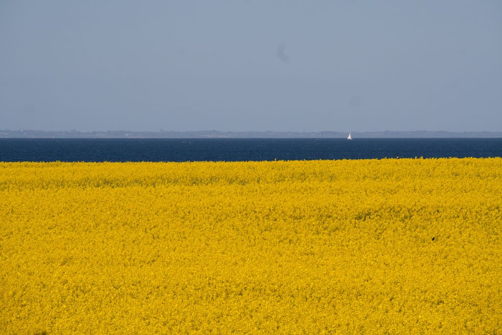 Ein Frühjahr an der Schlei