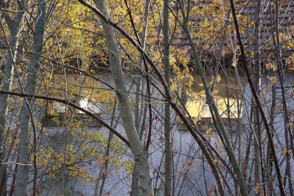 Die Kasernen in Döberitz (2011)