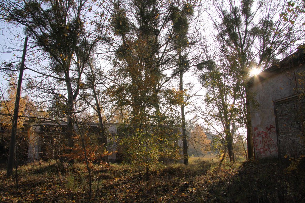 Die Kasernen in Döberitz (2011)