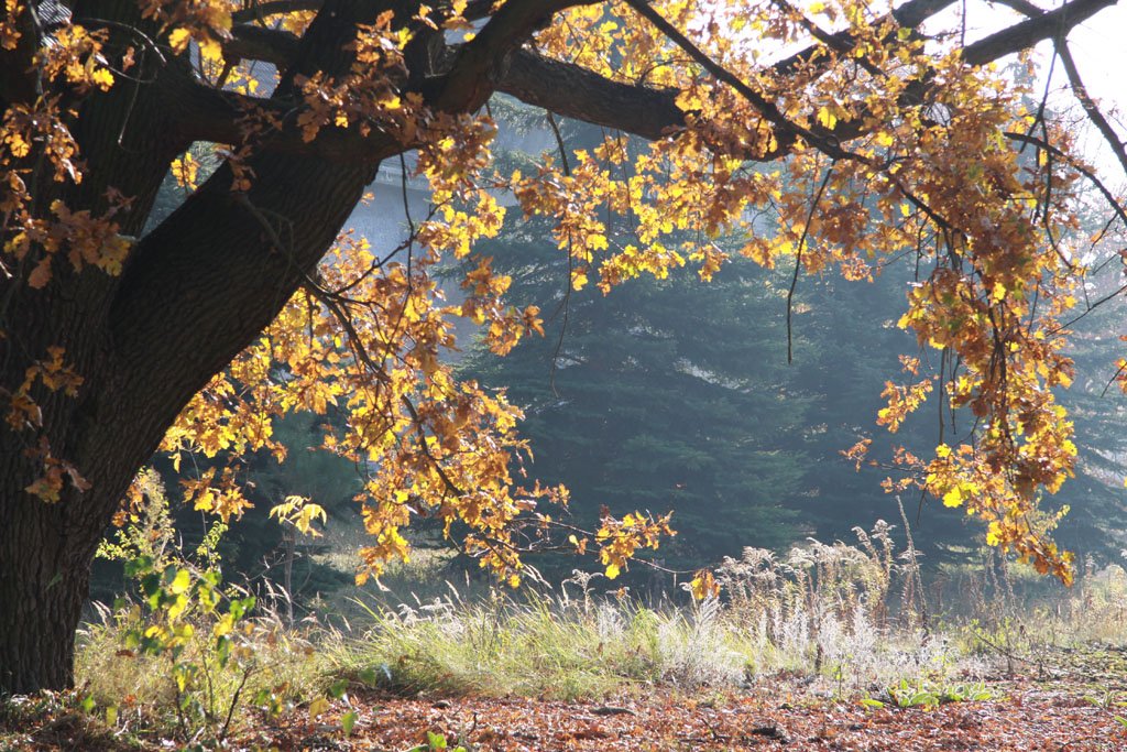 Die Kasernen in Döberitz (2011)