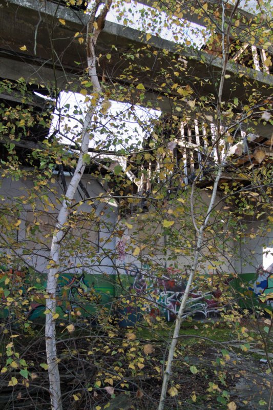 Die Kasernen in Döberitz (2011)