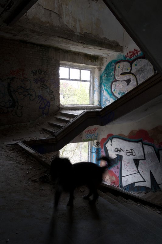 Die Kasernen in Döberitz