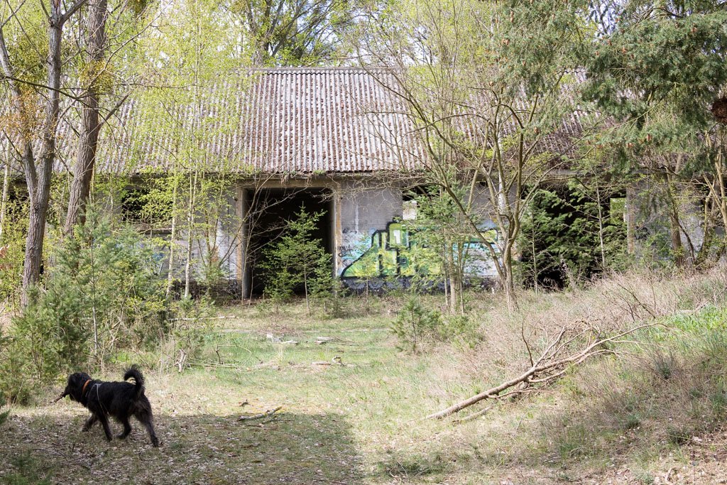Die Kasernen in Döberitz