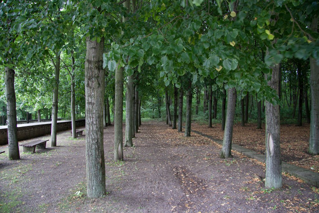 Konzentrationslager Buchenwald