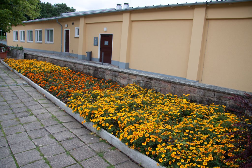 Konzentrationslager Buchenwald