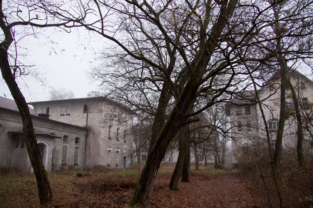Die Landesirrenanstalt am Domjüchsee