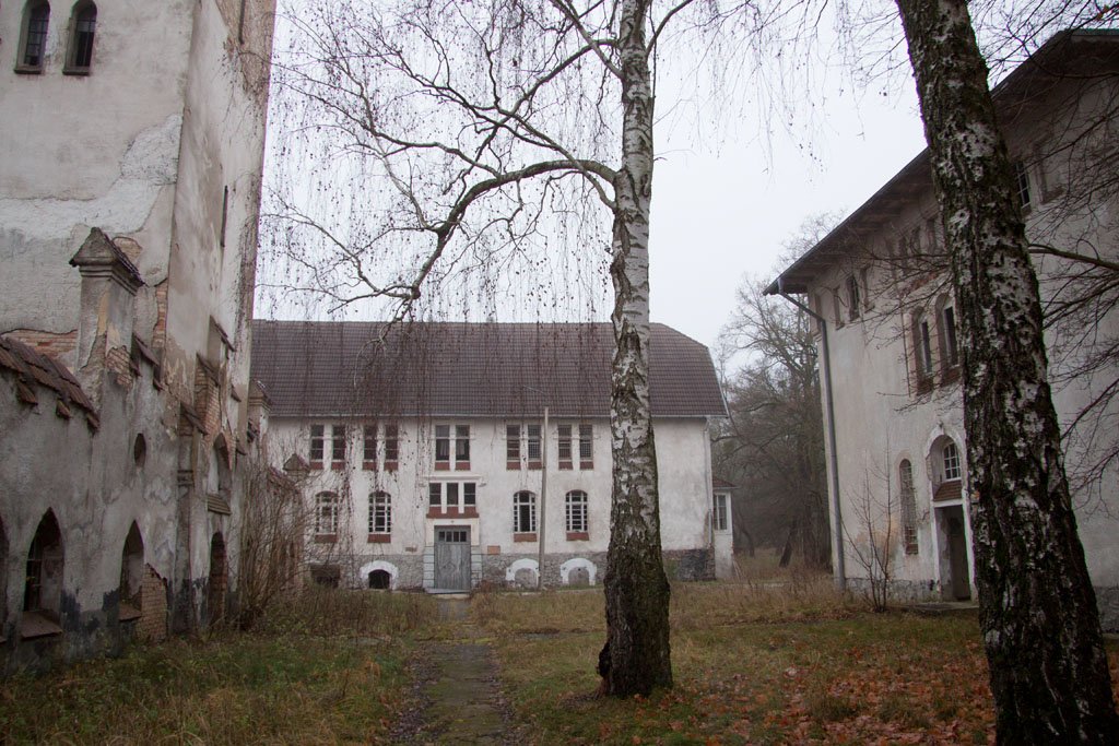 Die Landesirrenanstalt am Domjüchsee