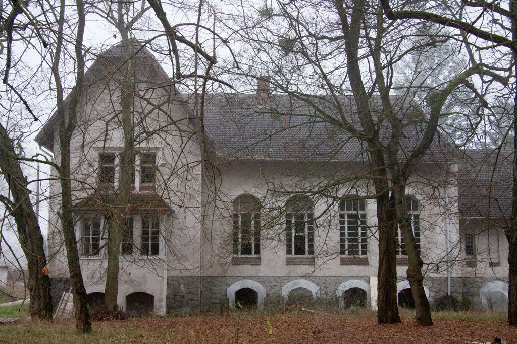 Die Landesirrenanstalt am Domjüchsee