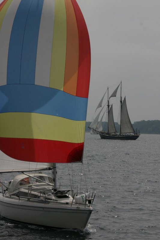 Mit dem Raddampfer "Freya" unterwegs