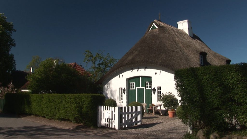 Schlei-Impressionen